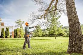 Best Lawn Pest Prevention  in Saddle Rock, NY