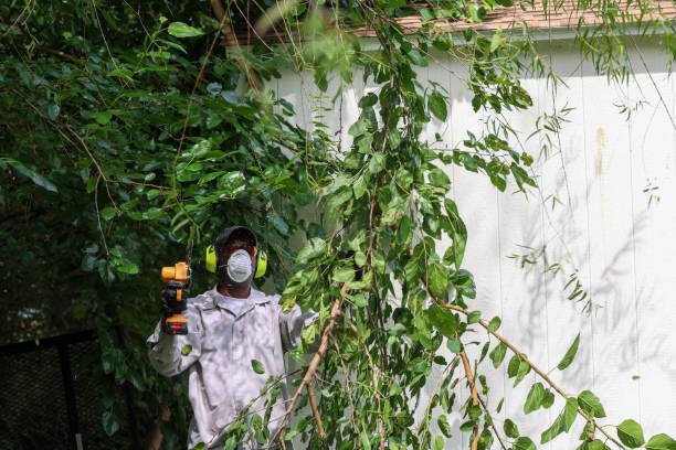 Best Tree Preservation Services  in Saddle Rock, NY