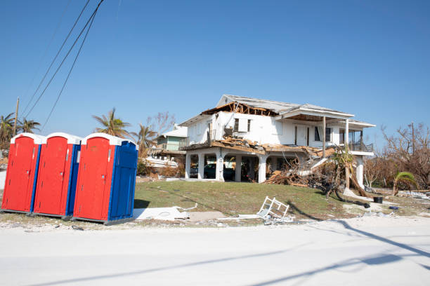 Saddle Rock, NY Tree Removal Company